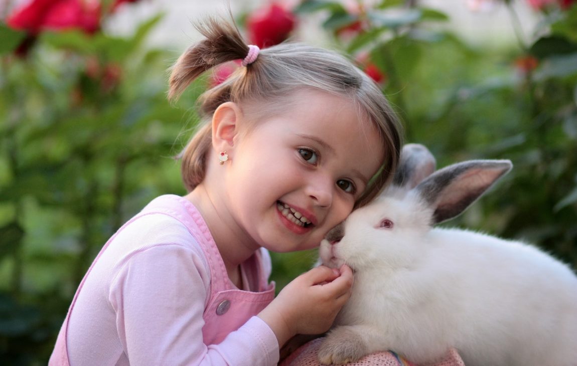 4 Commonest Problems with Toddler’s Teeth