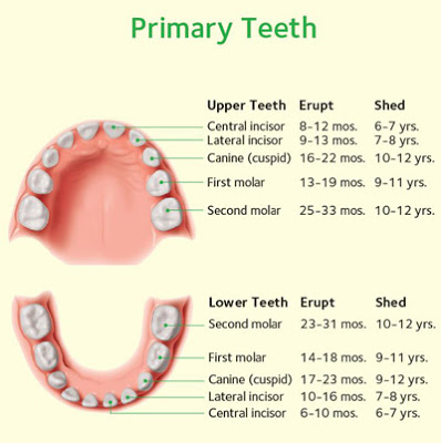 Cleft Lip and Cleft Palate in Children : All you need to know