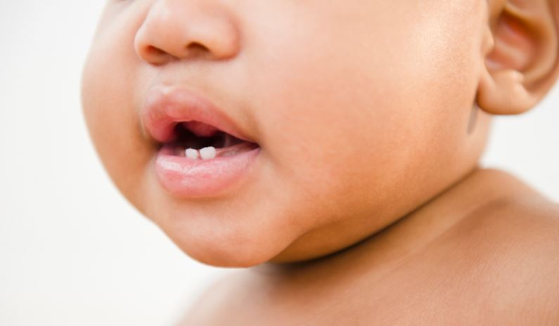 The importance of baby teeth |